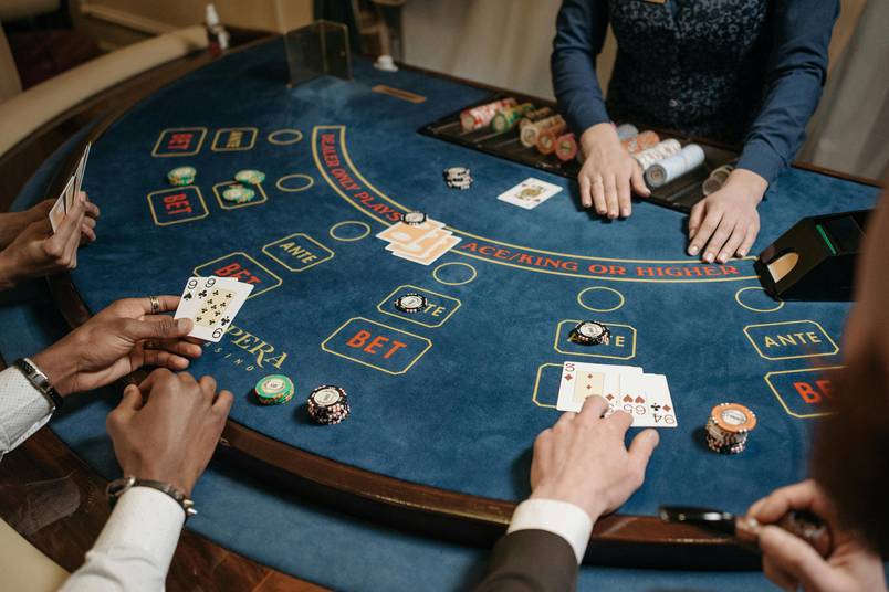 Tortuga casino Italia Tortuga casino Italia