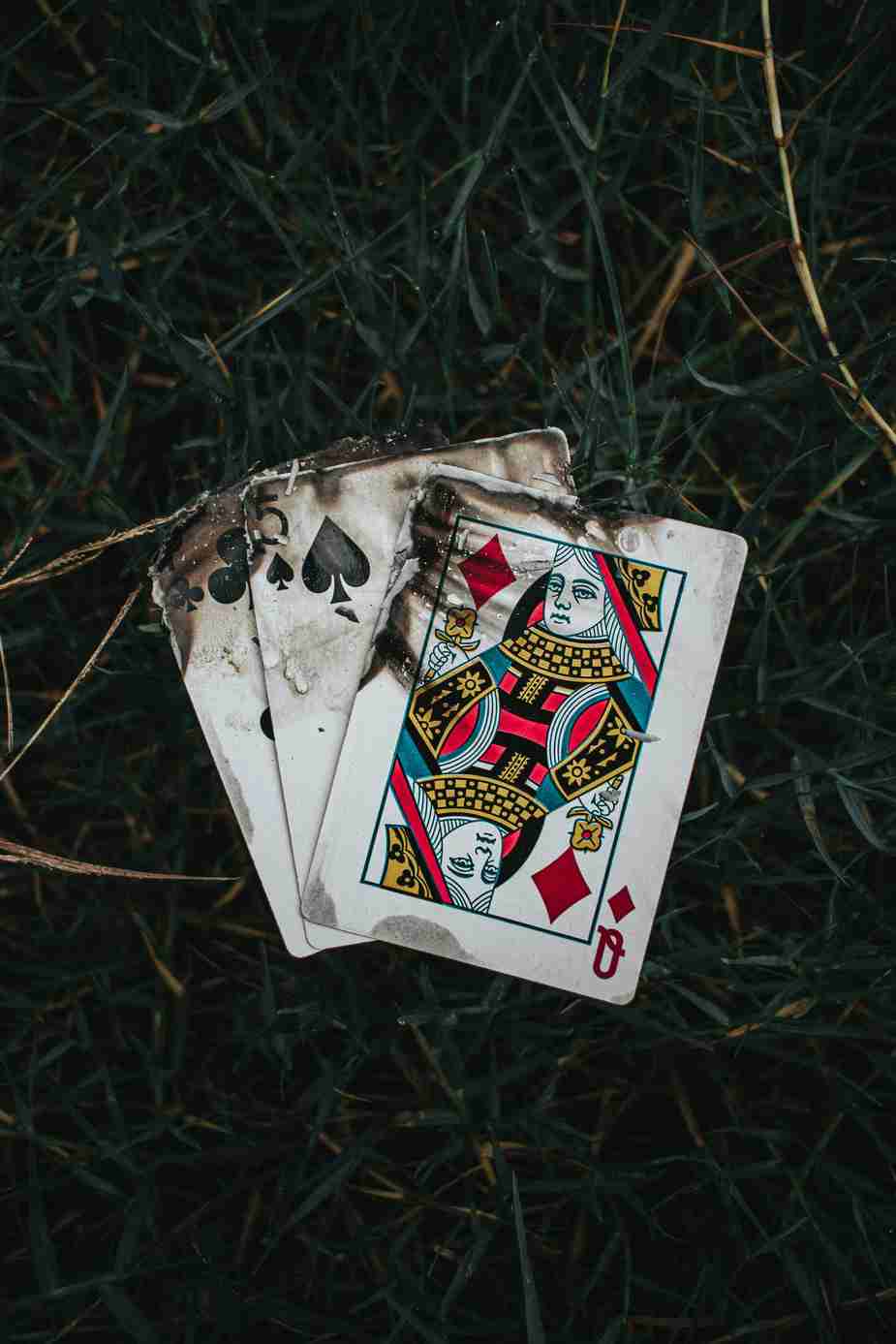 Bigclash casino